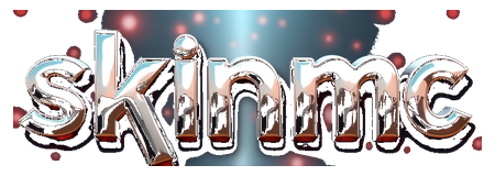 skinmc logo